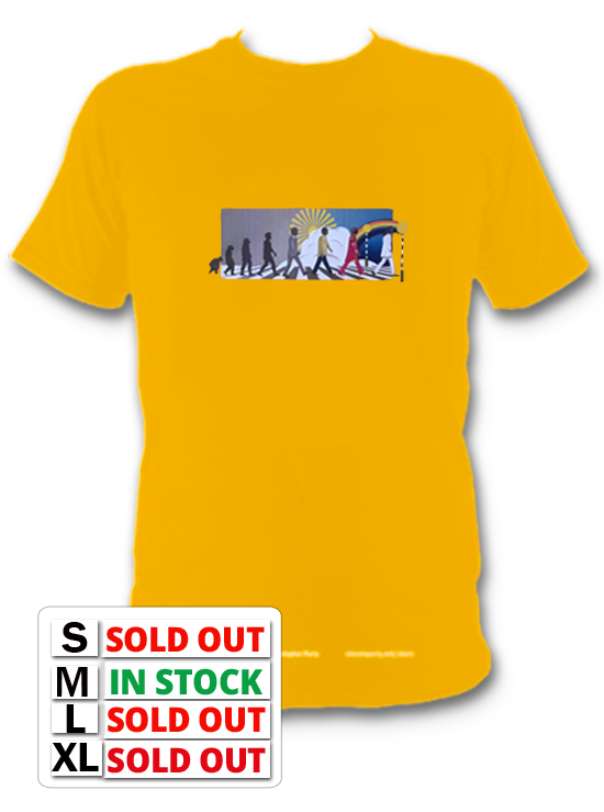 Beatles Evolution T Shirt £26.99